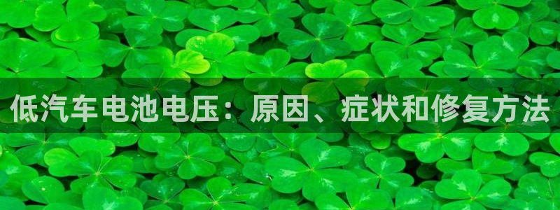 优发国际手机版官网入口