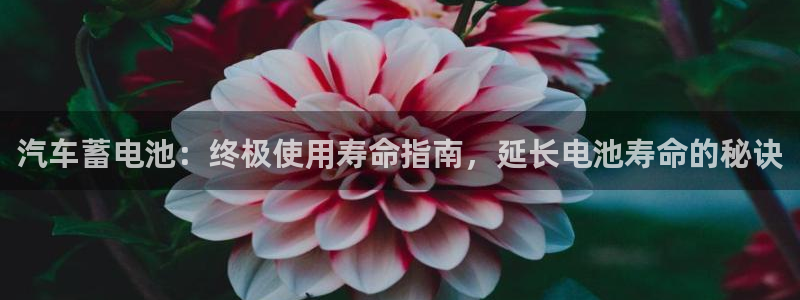 优发国际这个平台怎么样可靠吗