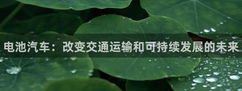 优发国际亚洲平台
