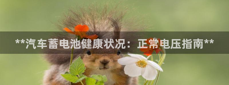 优发国际是合法的吗