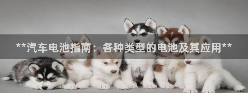 优发国际官网下载app