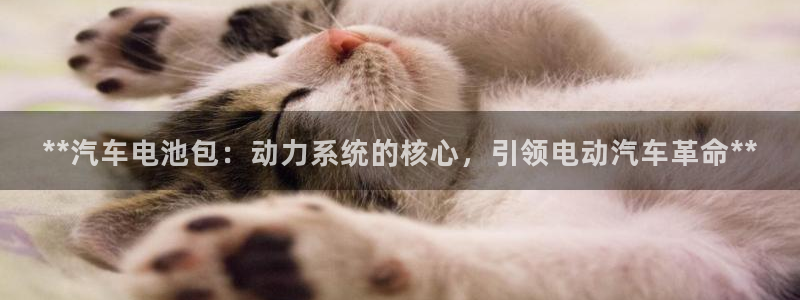 优发国际bob