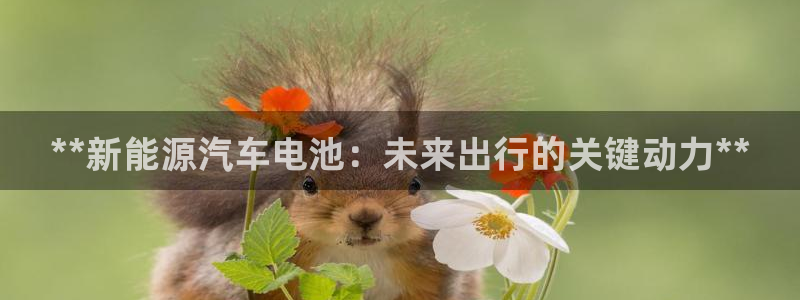 优发国际官网下载安装手机版