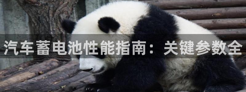 优发国际游戏n