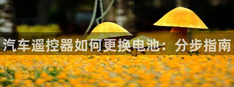 优发国际官方网平台电话