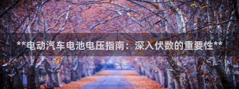 优发国际平台g80