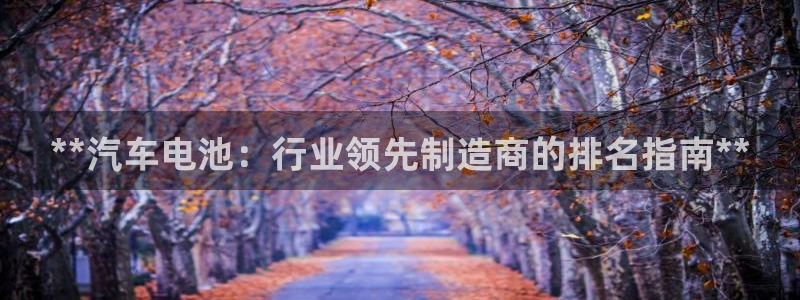 优发国际手机版客户端