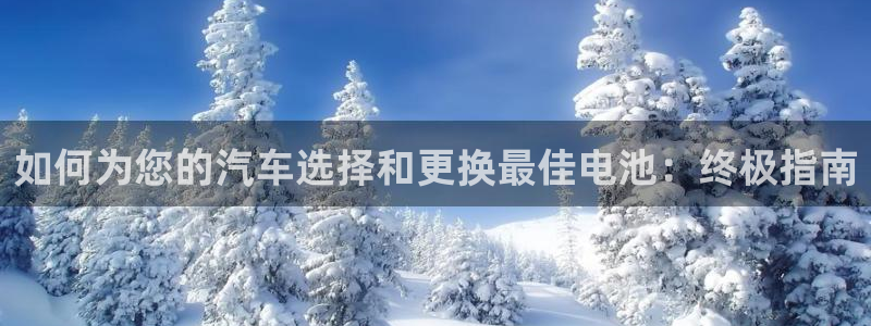 优发国际多少