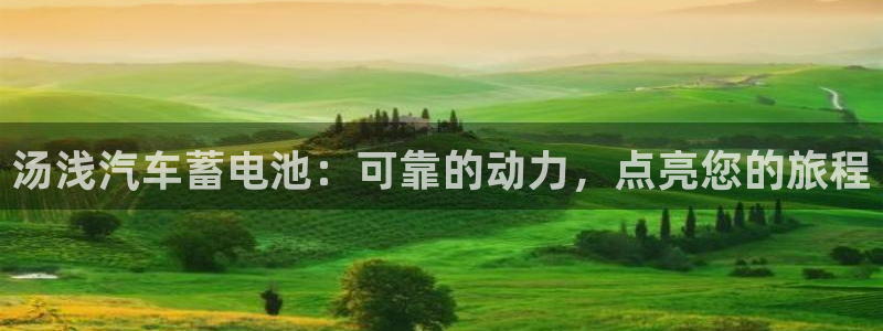 优发国际网站官网