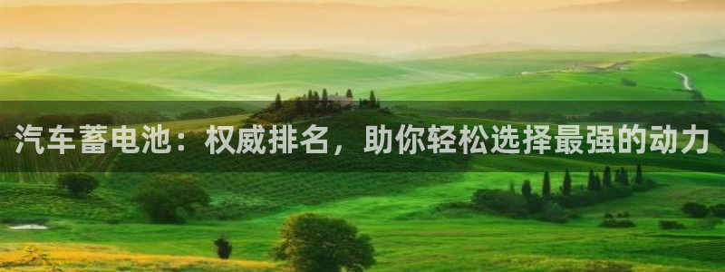 优发国际是大平台吗还是小平