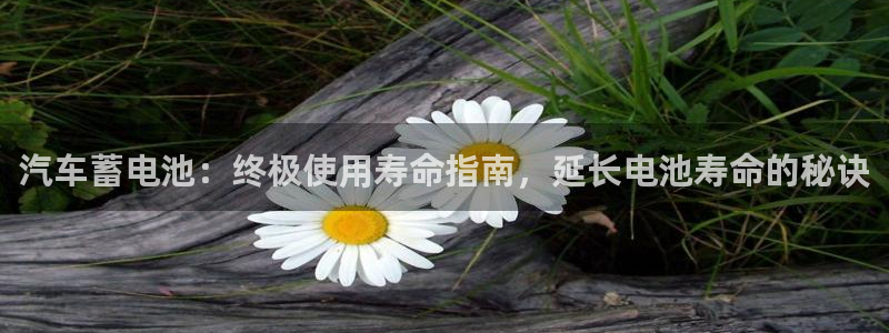 优发国际官方网手机版下载安装