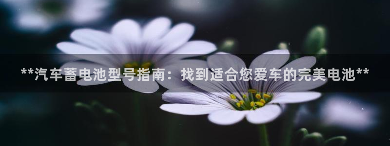 优发国际手机版客户端官网