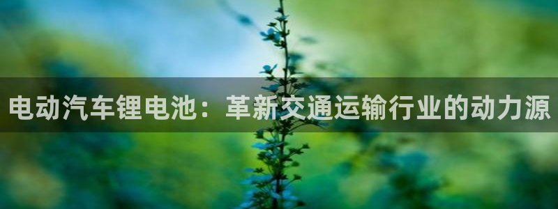 优发国际不出款怎么办