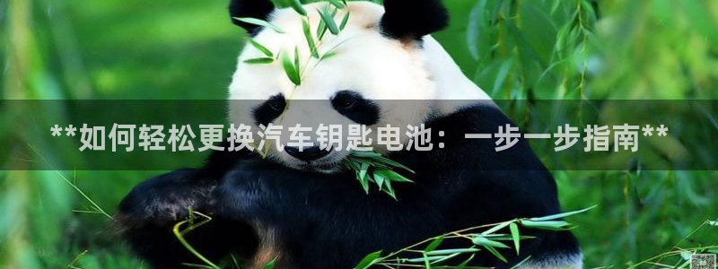 优发国际手机版客户端