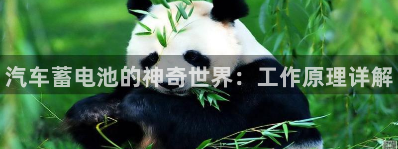 优发国际平台u8是什么公司