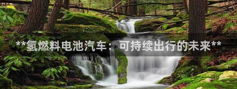 优发国际官网下载安装手机版