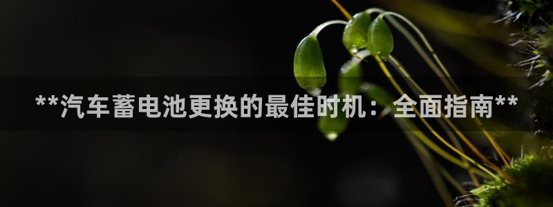 优发国际官方网手机版下载