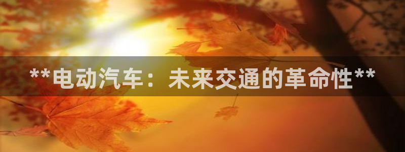 优发国际软件下载官网