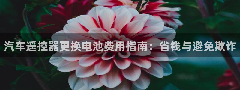 优发国际官网是多少号码