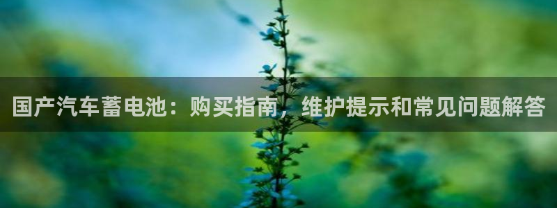 优发国际网官网17k8