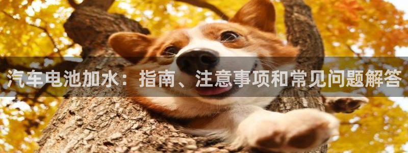 优发国际官网登陆