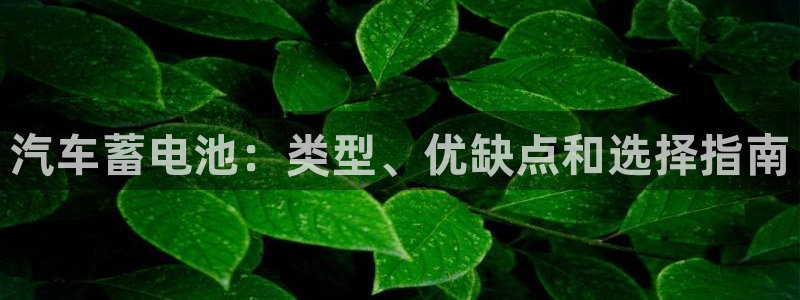 优发国际登录r8