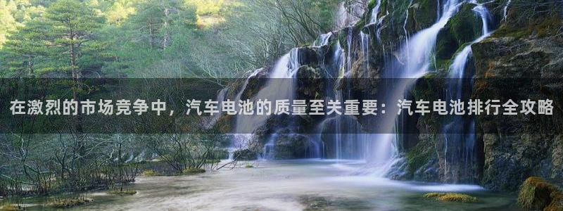 优发国际集团股份有限公司招聘