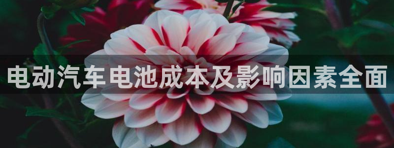 优发国际手机app下载安装苹果