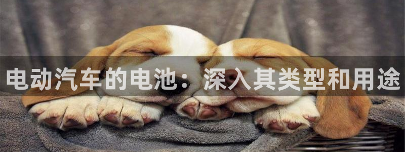优发国际网站