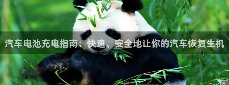 优发国际网官