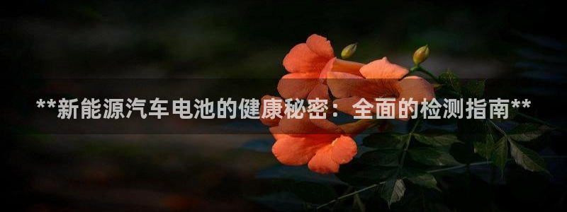 优发国际平台u8是什么