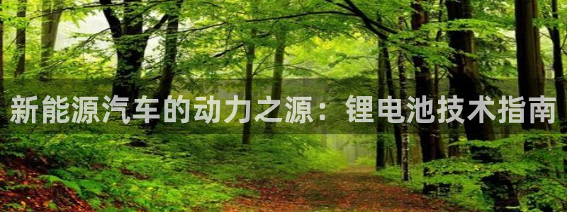 优发国际是什么