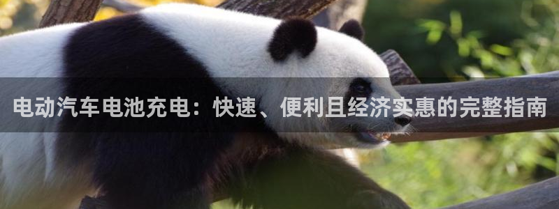 优发国际这个平台怎么样啊