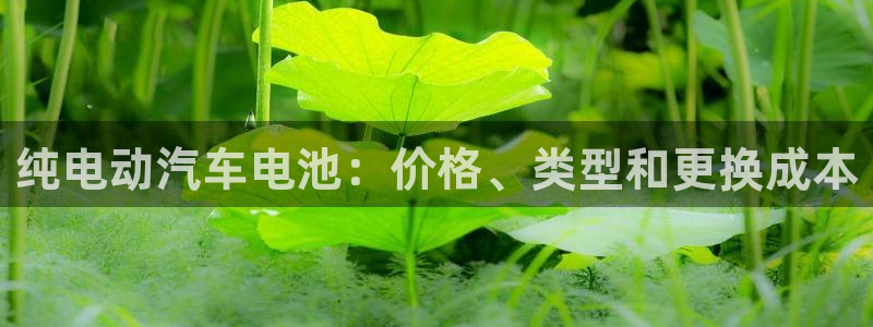 优发国际是大平台吗
