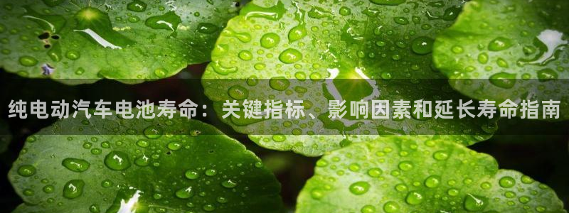 优发国际youfa966