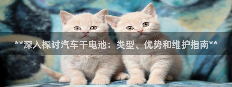 优发国际集团股份有限公司官网
