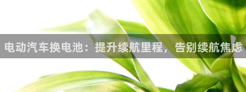 优发国际平台app下载官网