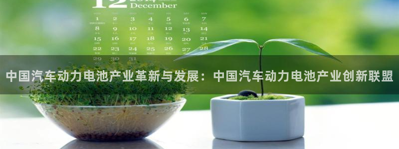 优发国际集团股份有限公司是国企吗