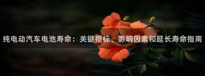 优发国际官网手机版入口