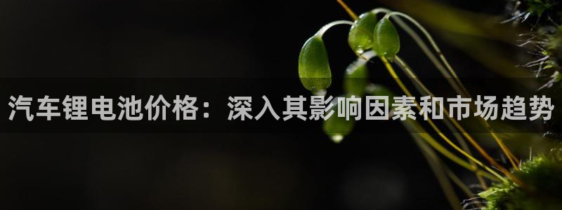 优发国际官网手机版