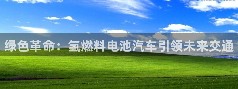 优发国际平台g8