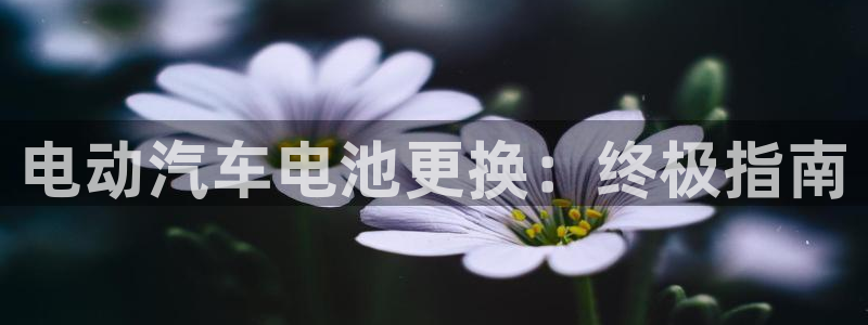 优发国际首页官网