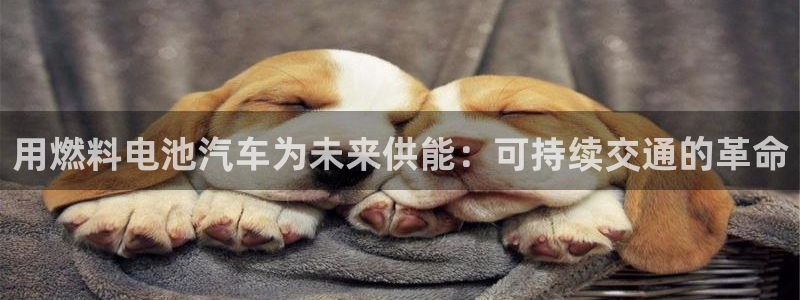 优发国际手机版官网