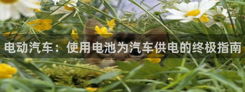 优发国际官网下载手机版