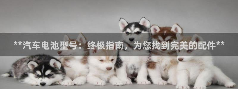 优发国际手机客户端下载官网