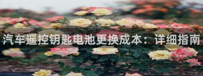 优发国际是大平台吗是真的吗