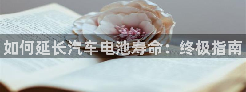 优发国际手机版客户端官网