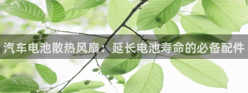 优发国际手机安装登录