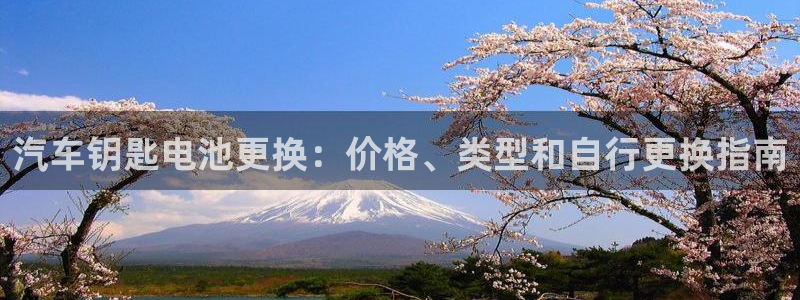 优发国际客服联系方式：汽车钥匙电池更换：价格、类型和自行更换指南