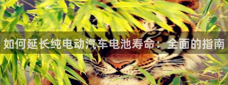 优发国际-触即发